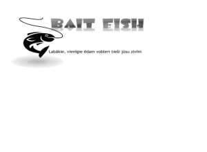 Bait_Fish